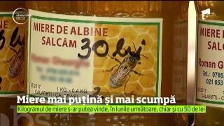 2018, anul cu miere mai puţină şi mai scumpă