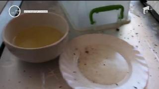 Mâncare gătită în mizerie pentru turiști