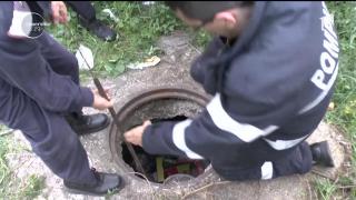 Câine salvat de pompieri dintr-un canal