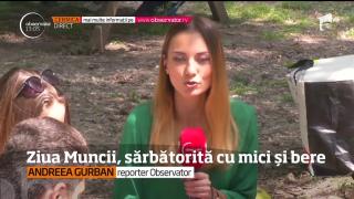 Ziua Muncii, sărbătorită cu mici și bere în pădurea Cernica