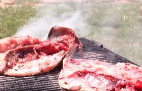 Au înlocuit micii cu peștele la grătar. Mii de gălățeni au ieșit la pescuit, pe malul bălții Zătun