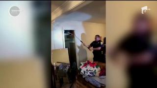 Supriză de proporţii pentru o familie din Statele Unite. Locuinţa lor a fost invadată de o familie întreagă de ratoni