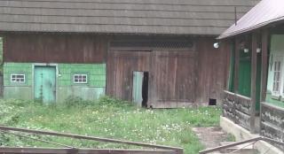 O tâlhărie a scos la iveală o crimă comisă toamna trecută la Marginea