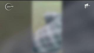 Bărbatul filmat în timp ce omora o căprioară pe un fond de vânătoare din Argeş a fost reţinut de poliţişti