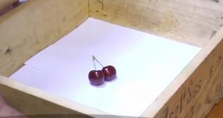 Viralul zilei. O misiune specială a Jandarmeriei care transporta două cireşe a făcut valuri pe internet!