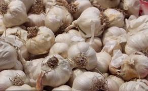 Usturoiul românesc, transformat de francezi în delicatesă pentru brânzeturi