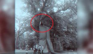 Noi detalii în cazul copilului căzut cu tiroliana la Craiova. Traseul periculos a fost montat ilegal, deşi autorităţile apăreau pe afişe