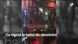 Gest şocant la un bal de absolvire al unui liceu din SUA. Organizatorii au adus un tigru