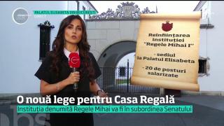 Proiect pe masa deputaţilor: Casa Regală va funcţiona ca o instituţie, cu bani de la stat