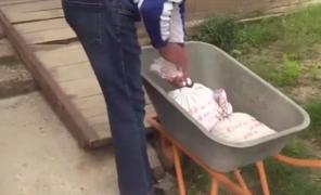 Amenda plătită de un ieşean cu o roabă de monede. Funcţionara de la Primărie a numărat banii în două zile!