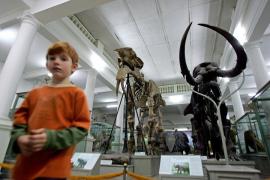 Noaptea Muzeelor 2018: 150 de instituții așteaptă vizitatorii