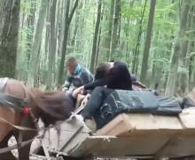 În nordul sălbatic al României, copiii sunt transformaţi în contrabandişti chiar de pe băncile şcolii