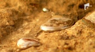 Alertă maximă! Mercur găsit în fața unui bloc din Drobeta Turnu Severin