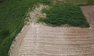 În nordul judeţului Botoşani, există o movilă de pământ înaltă de 4 metri, pe care niciodată nu a crescut nicio plantă