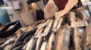 Prea multe nereguli, prea puţine controale. Imagini revoltătoare filmate în cea mai mare piaţă din Bucureşti