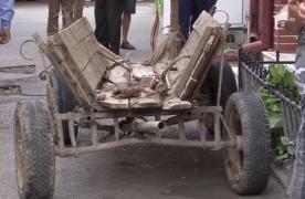 Căruţă trasă de un cal, ravagii pe o stradă din Târgu Jiu! 8 maşini au fost distruse