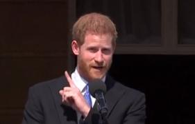 Discursul prinţul Harry la Palatul Buckingham, întrerupt de o albină
