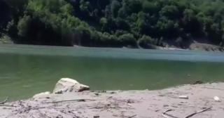 Mobilizare de forţe în judeţul Buzău. Un cunoscut cântăreţ de muzică lăutărească a dispărut fără urmă