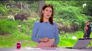 Observator 13 Weekend