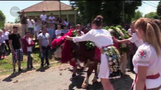 Tradiții de Rusalii, vechi de sute de ani. Cum să-ţi fereşti casa de rele