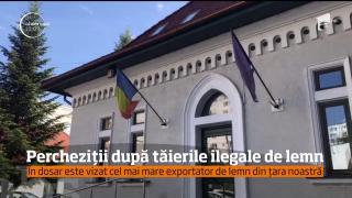 Percheziții după tăierile ilegale de lemn. În dosar este vizat cel mai mare exportator de lemn din România