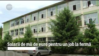 Salarii de mii de euro pentru un job la fermă! Liceele agricole încep să îi atragă pe tineri
