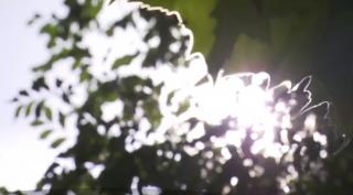 Caniculă în România! Luna iunie vine cu temperaturi greu de suportat. Anunţul făcut de meteorologi