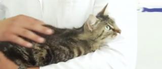 Salarii de mii de ruro pentru un job la fermă. Un tractorist poate câștiga până la 2.000 de euro pe lună