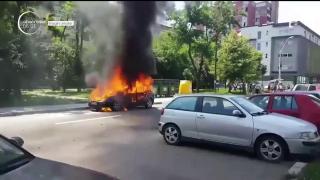 Momente de panică în centrul oraşului Baia Mare