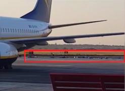 Zeci de bagaje răsturnate pe pista aeroportului din Timişoara