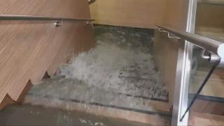 Furtuni violente au făcut ravagii în vestul Europei. Imagini dramatice din Germania, Franța sau Belgia