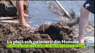 La plajă sub palmierii din Mamaia. Peste 30 de mii de turiști au ajuns pe litoral, în minivacanță