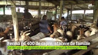 Fermă cu 400 de capre, afacere de familie. Cei doi soți și tatăl bărbatului se ocupă singuri de întreaga fermă