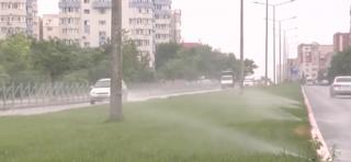 Flori udate cu furtunul pe ploaie, de angajaţii de la spaţiile verzi din Galați