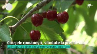 Cireșele românești, vândute cu doi lei pe kilogram. Fructele rămase ajung ţuică