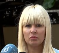 Zi cu emoţii pentru Elena Udrea! Dosarul Gala Bute a ajuns la final