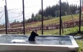 Imagini inedite cu Ursul Baloo din staţiunea Starja, la piscină!