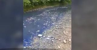 Apa râulului Ialomiţa a devenit albastră. Localnicii sunt îngrijoraţi, imaginile i-au scandalizat pe internauţi