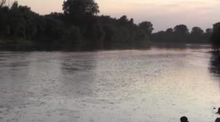 Spectacol al naturii suprins pe râul Mureş, în Arad