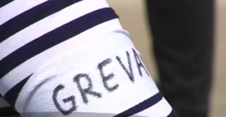 Grevă japoneză la Delfinariul din Constanţa, după ce veniturile angajaților au scăzut cu 15%