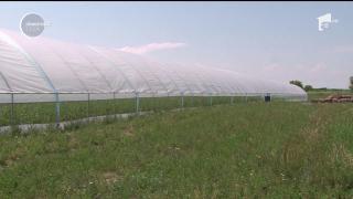 Afacere de familie cu produse 100% naturale