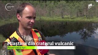 O rezervaţie naturală incredibilă se află în judeţul Harghita