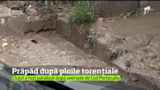 Furtunile puternice au făcut prăpăd în mai multe zone din ţară