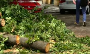 Cod galben de furtuni violente în 30 de judeţe. Vijeliile şi grindina au devastat zeci de gospodării din ţară