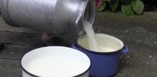 Mii de litri de lapte donaţi de un fermier din Arad, după ce o furtună l-a lăsat fără curent electric