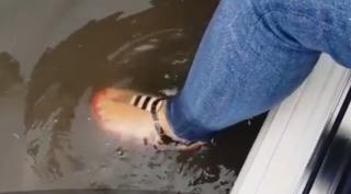 Jumătate de Capitală, inundată în mai puţin de o oră. Ploaia torenţială a blocat nordul Bucureştiul