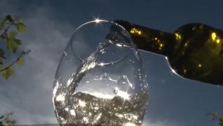 Turismul viticol câştigă teren în România. Relaxare şi degustări în raiul podgorilor