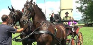 Pentru trei zile, Herghelia Beclean din judeţul Bistriţa Năsăud este capitala echitaţiei în România