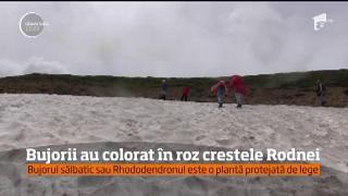 Observator 13 Weekend