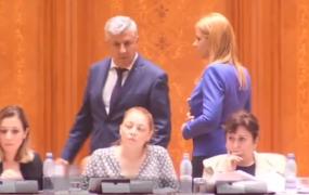 Codul de Procedură Penală a fost adoptat de Camera Deputaţilor, cu mare scandal